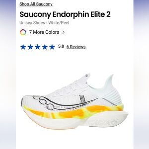 Saucony endorphin elite 2